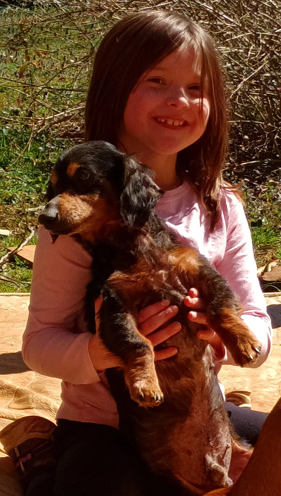 Lost dog in Mount Holly, NC, 28120