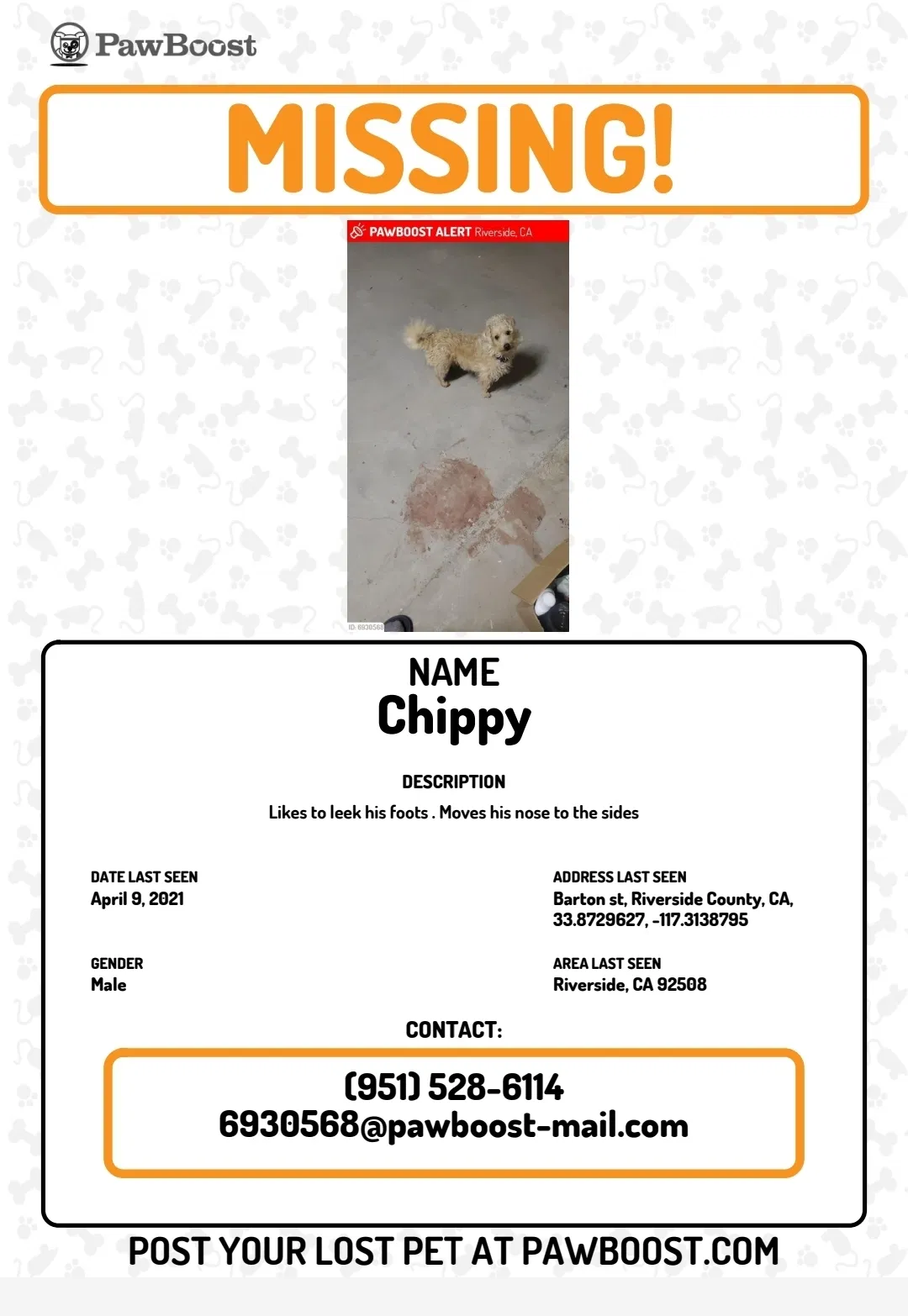 Lost dog in Unknown, CA, 92578